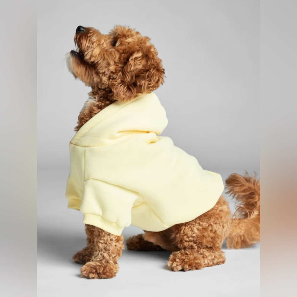 Comfrt Minimalist Paw Hoodie In Buttercream - Picture 3 of 6